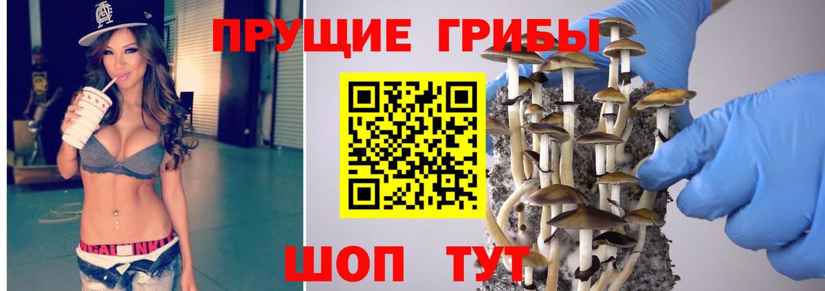Дербент  Галлюциногенные грибы мицелий  Псилоцибиновые грибы Psilocybe  Вход с VPN 